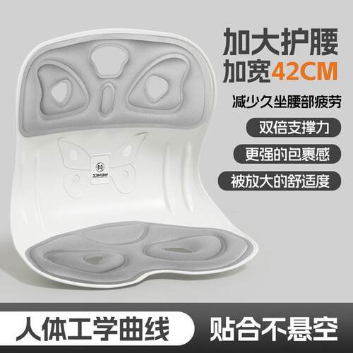 Ergonomic Lumbar Support Cushion for Office Chairs, Providin