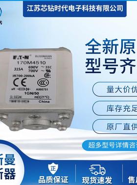 170M4511 170M4512 170M4513巴斯曼BUSSMANN熔断器保险丝