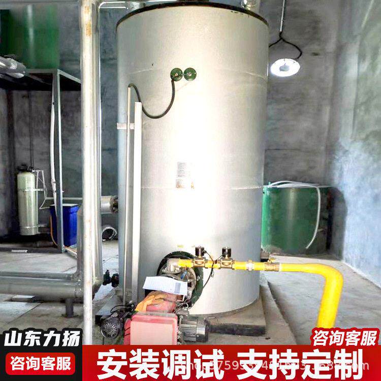 山东力扬供暖800平方智能沼气常压锅炉畜牧养殖供暖安全节能