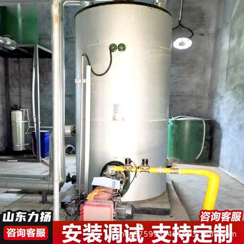 山东力扬供暖800平方智能沼气常压锅炉畜牧养殖供暖安全节能