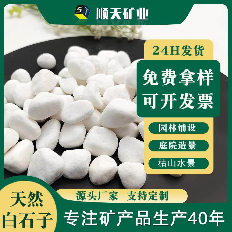 现货白色鹅卵石 多肉铺面石子 花盆园林造景水磨石枯山水石子