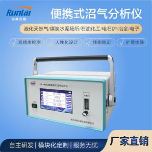 润莱仪器便携式 沼气分析检测仪CO2COH2SO2气体浓度分析仪
