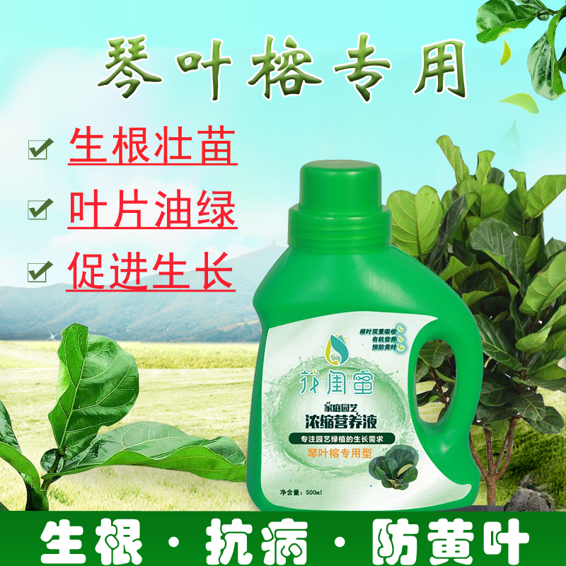 琴叶榕肥料幸福龙血树专用肥巴西木绿植液肥营养液通用型生物菌肥