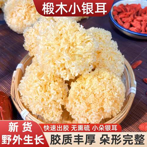 东北椴木小银耳干货出胶糯无硫野生无碎白木耳莲子羹雪耳特产500g