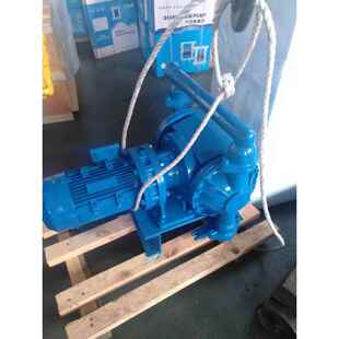 电动隔膜泵DBY25铸铁304电动隔膜泵质保一年