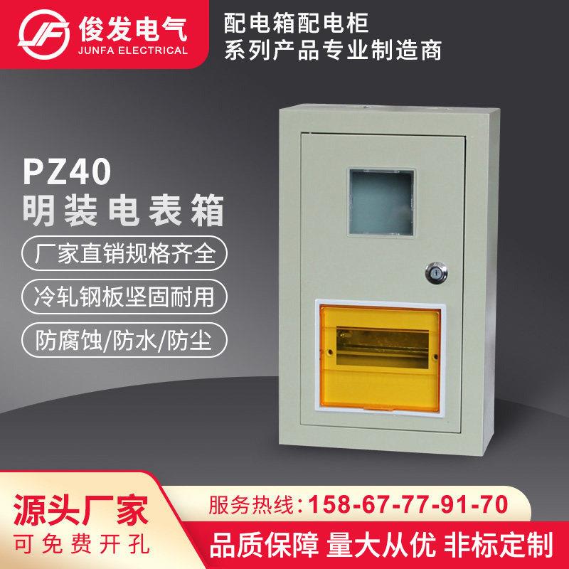 PZ40明装电表箱1/2/3/4/6/8户单相家用配电箱铁质挂墙强电箱直销