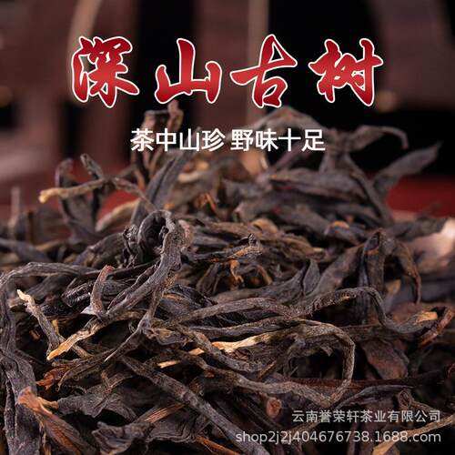 云南凤庆 2025滇红毛峰 深山古树毛峰 大树早春茶 厂家直批