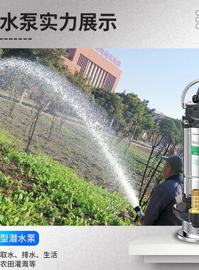 抽全铜排电机家用潜水泵220v小型污水泵水大流量农水用灌FEC溉污