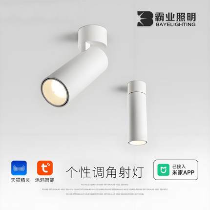 明装射灯折叠摇头可调角度免钻孔吸顶简约涂鸦zigbee防眩无主灯