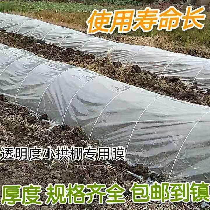 小拱棚育秧苗膜地膜农用白膜西瓜膜加厚种植保温薄膜塑料布大棚膜,农机/农具/农膜,农用薄膜,淘宝优惠券,粉丝福利购,淘宝优惠卷