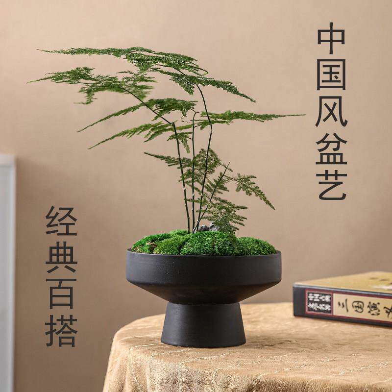 中国风简约文艺范陶瓷花盆米竹铜钱草水培苔藓球装饰微景观盆景盘