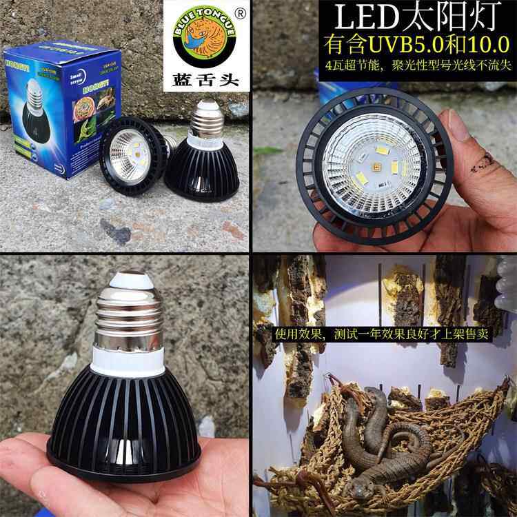 爬宠LED太阳灯 UVA UVB补钙灯 照明补光灯 4瓦节能灯多肉植物灯