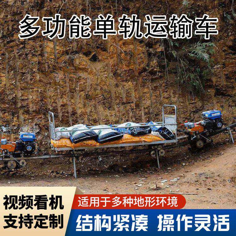 轨运输车山地果园茶园丘陵农用轨道车大棚汽油索道过山车爬坡车