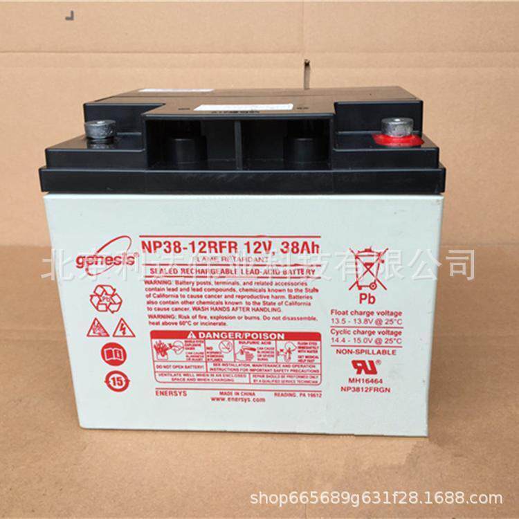 艾诺斯华达霍克蓄电池NP38-12免维护蓄电池12V38AH应急电源 现货