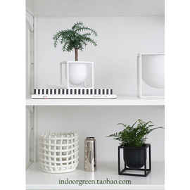 植物私生活  北欧ins风 黑白铁架办公桌组合盆栽小绿植净化空气
