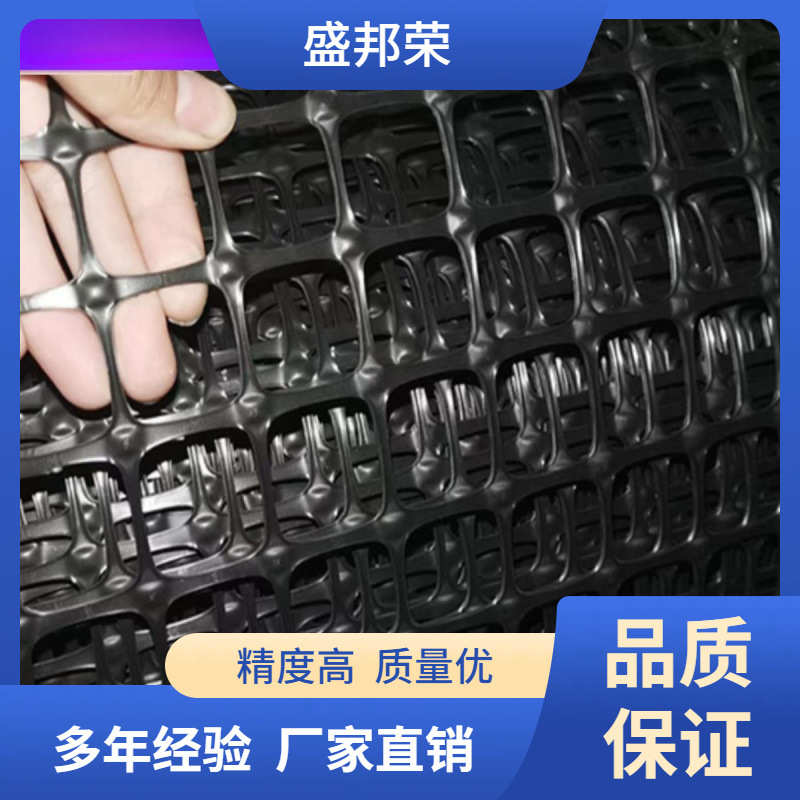 盛邦荣拦鸡防护网护栏塑料网栅栏养鸡网户外玉米护栏围栏网养殖网