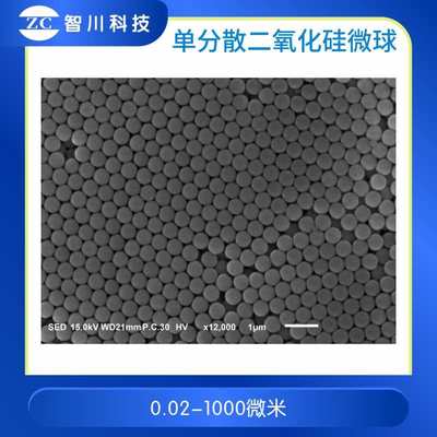 氨基化  羧基化 巯基化 单分散二氧化硅微球 粉末 0.05—200微米