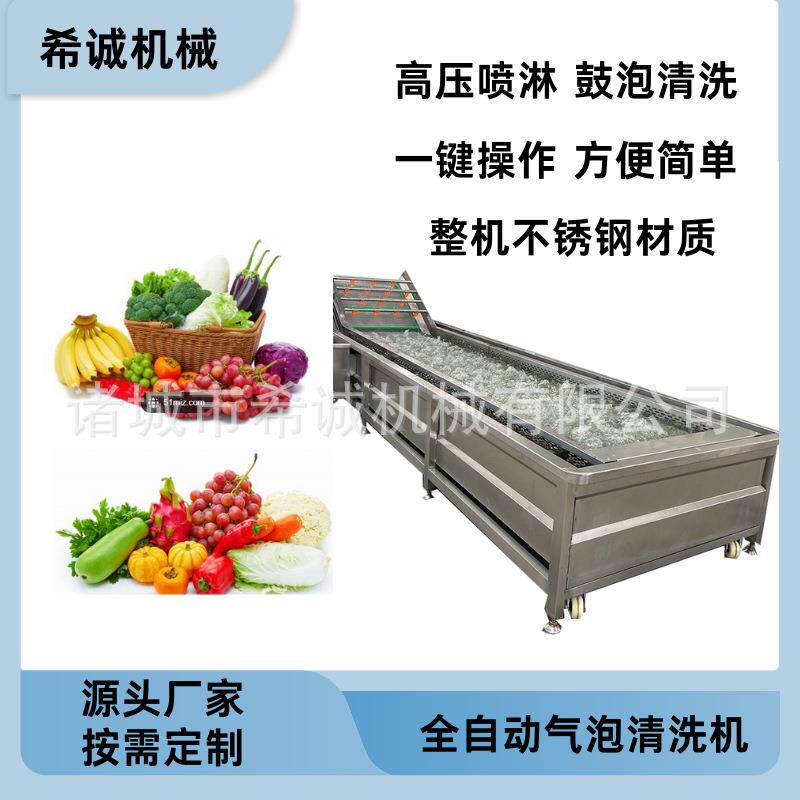 全自动果蔬气泡清洗机土豆红薯高压喷淋鼓泡清洗净菜清洗设备