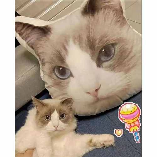 装饰异形抱pod靠枕来制作枕企业动物创意定制猫狗一件照片图宠物