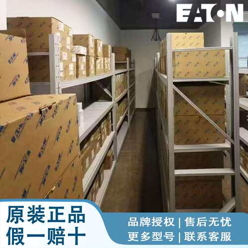 EATON/伊顿穆勒多功能电能表 +I/O- 中文版IQ100XMA5510 CPD00652