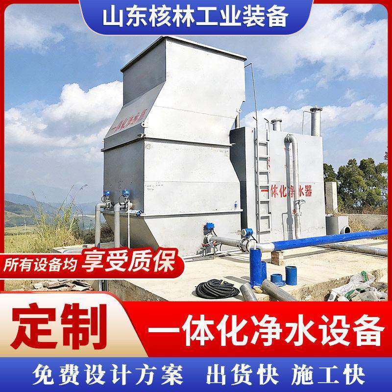 一体化净水设备乡镇井水净水装置供应生活用水山泉水过滤设备