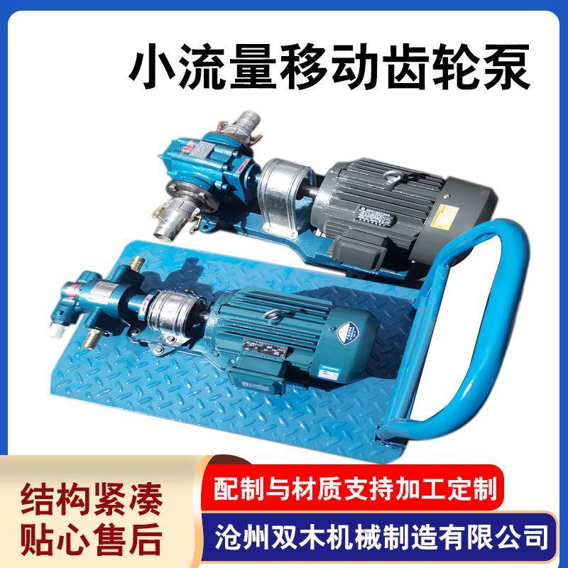 厂家供应小流量移动齿轮泵铸铁机油润滑泵高温胶水泵齿轮油泵