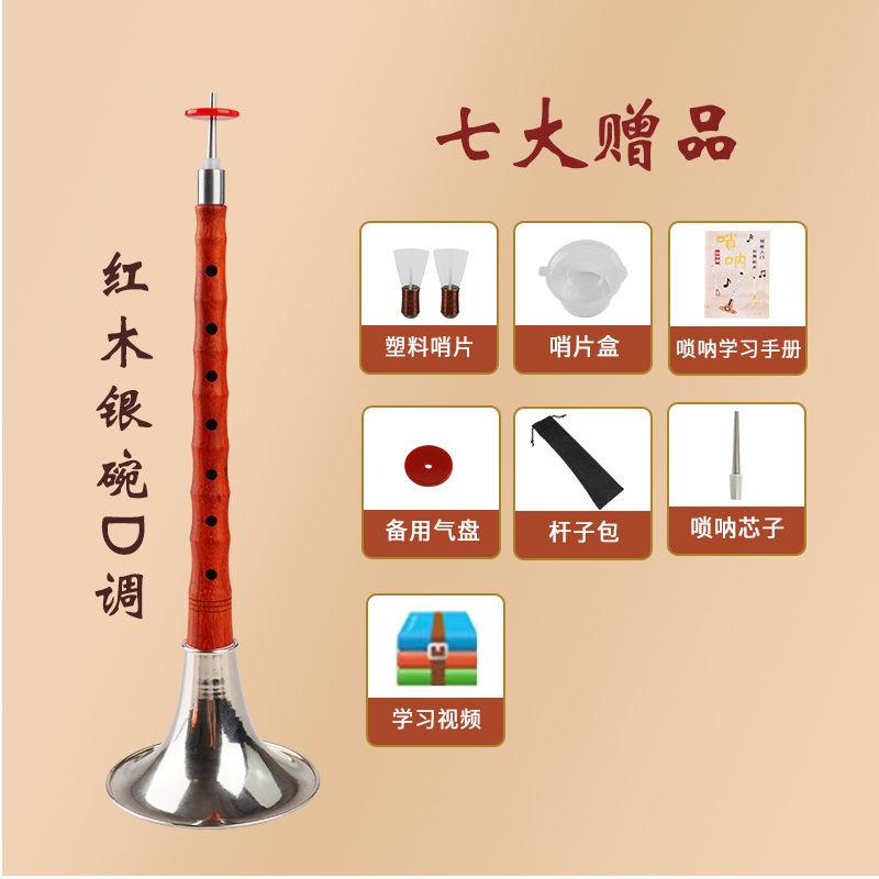 高档初学者唢呐红木乌黑檀木民族吹奏乐器成木人入门D喇中号叭调