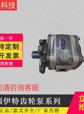 厂家直销德国原装进口福伊特IPV/IPAP/IPVAP/IPC/IPN齿轮泵系列