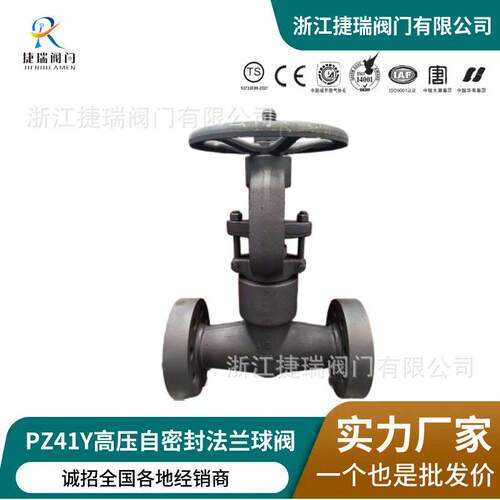 A105F304整体锻钢PZ41Y-2500LB自密封闸阀PJ41H-1500LB压截止阀