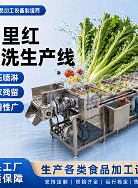 华德福牌雪菜气泡清洗机雪里红清洗机器糖醋蒜清洗设备厂家直供