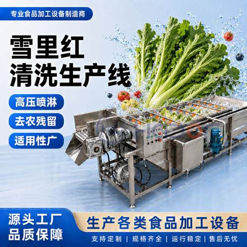 华德福牌雪菜气泡清洗机 雪里红清洗机器 糖醋蒜清洗设备厂家直供