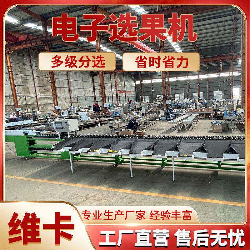 小型水智果清洗分级机分选机能筛选分分拣重量级设备