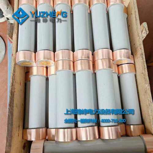 RN1 RN3-10 RN3-12/10A 15A 20A 25A 30A 40A 50A 60A高压熔断器