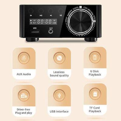 50Wx2 Digital Audio Power Amp With Digital Display CS8673E