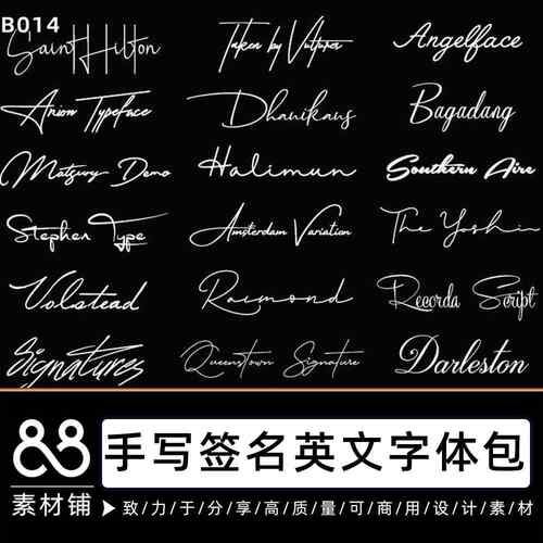 手写英文字体包库下载PS/Procreate连笔签名花体字体设计素材B014
