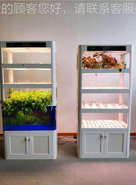 农业家庭养鱼菜柜鱼38506缸水培种种植柜鱼共生蔬种菜植机无土菜
