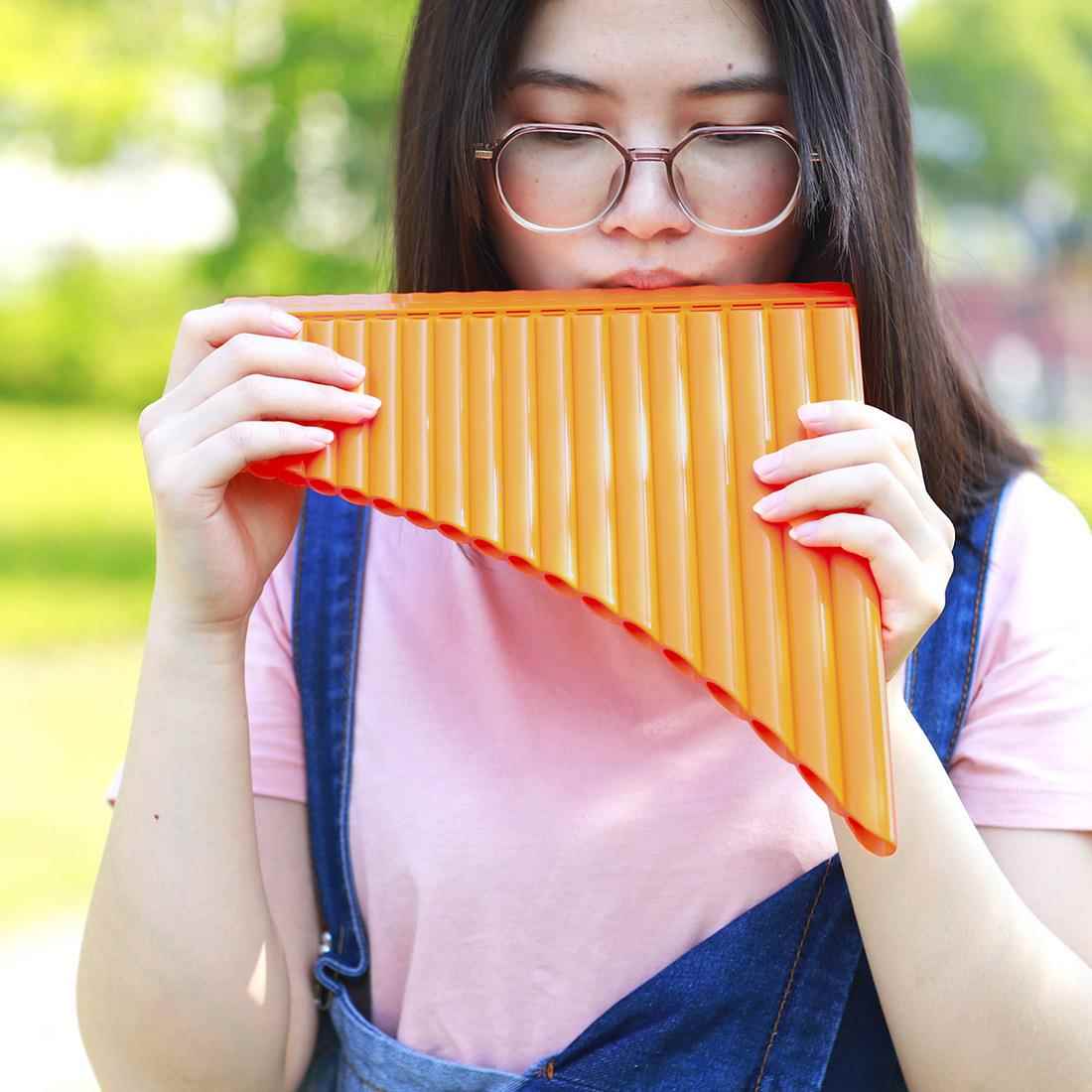 厂家IRIN16/18管排萧学生教学专用C调排箫初学者入门吹奏乐器