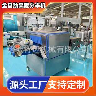 工业用胡瓜分半机食堂商用茄子分瓣机输送带式分半设备厂家