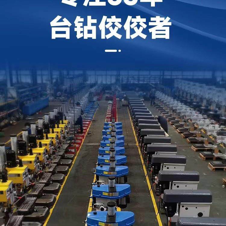 西钻攻两用体830机床一工业钻孔机台38钻0V钻床攻丝机攻牙机ZS菱4图片