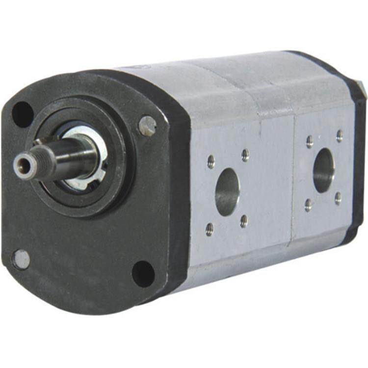 奥森德齿轮泵Blue Ascend AP20.160/160.AEA701SN-T 进口双联泵