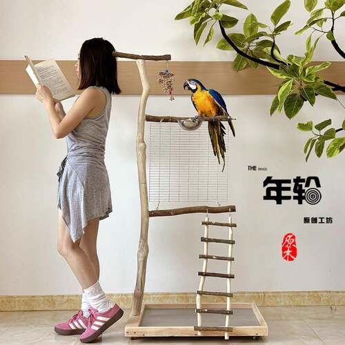 大鹦鹉站架树枝鸟站架落地式训鸟架超大号架养原木鸟架中大型用品