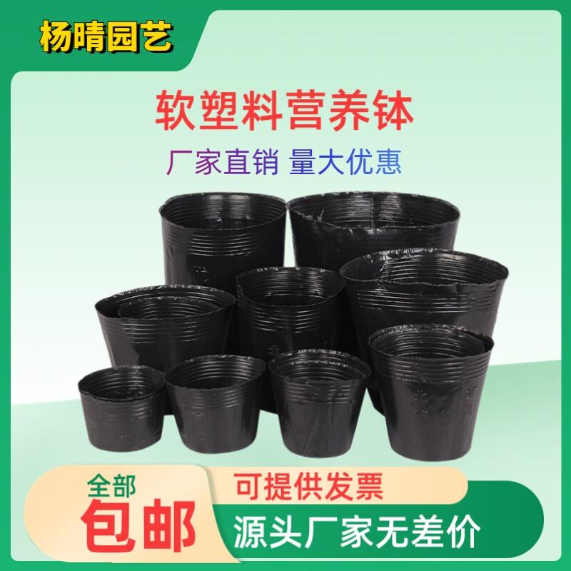 黑色一次性塑料营养钵营养袋加厚营养杯育苗杯防老化育苗袋小黑碗