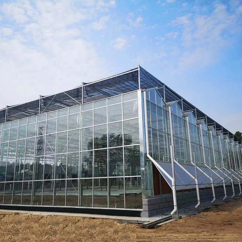 厂家连栋大棚智能玻璃温室大棚新型种植大棚骨架生产加工