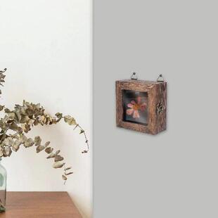 Dried Leaf Display Frame Vintage Specimen Box Double