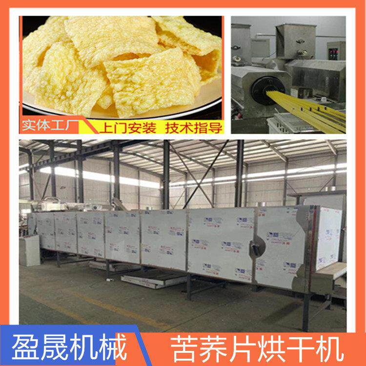 苦荞生产线 西安苦荞片膨化机 大型苦荞片膨化机 亚麻籽酥膨化机