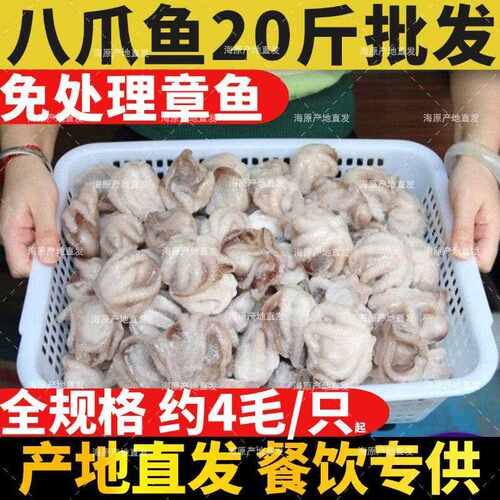 三去免处理八爪鱼鲜活冷冻蚝蛋烧芥末章鱼小丸子捞汁火锅商用批海