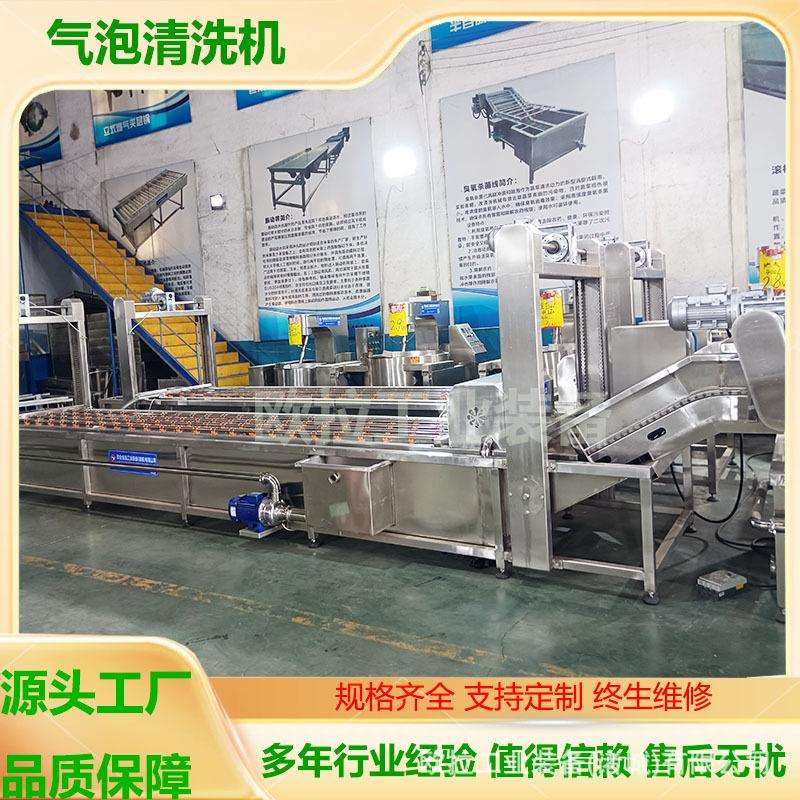大白菜加工气泡清洗机 茄子辣椒根茎类蔬菜清洗机器 全自动洗菜机