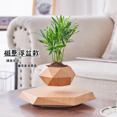 反重力磁浮花盆办公桌摆件情绪稳定植物家居轻奢客厅玄关装饰品