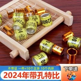 信鸽脚环2024年不带证统一环特比鸽子足环赛鸽环脚圈鸽圈鸽具用品