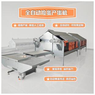 全自动产蛋箱种鸡集蛋蛋鸡自动捡蛋机传送带捡蛋机